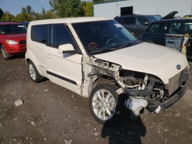 KIA SOUL 2013 kndjt2a56d7775188