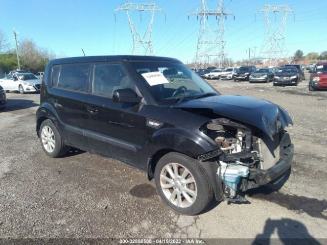 KIA SOUL 2013 kndjt2a5xd7755963