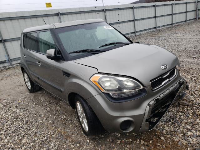 KIA SOUL + 2013 kndjt2a61d7484395