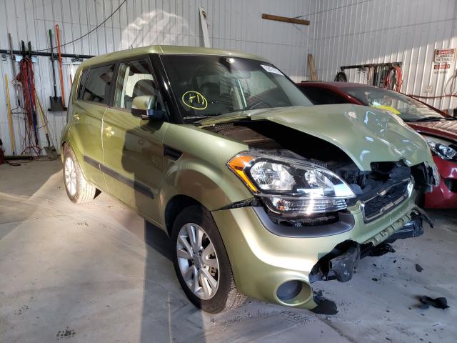 KIA SOUL + 2013 kndjt2a61d7595920