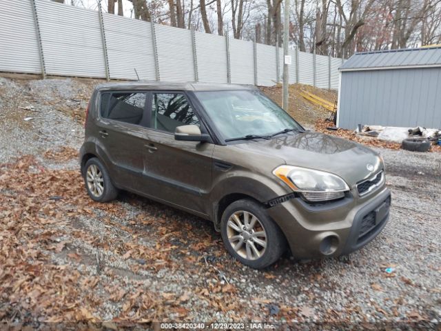 KIA SOUL 2013 kndjt2a62d7572338