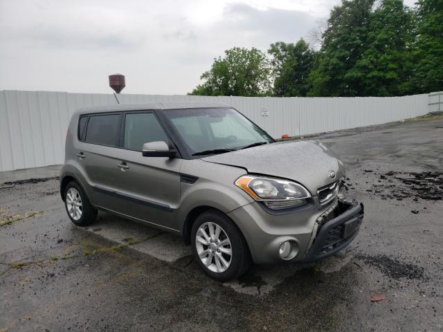 KIA SOUL + 2013 kndjt2a63d7621529