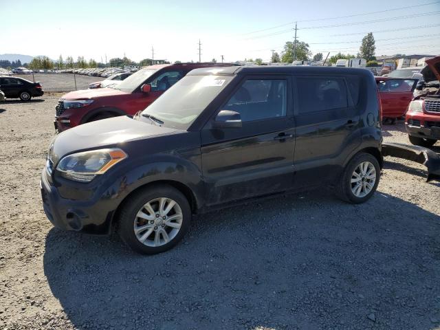 KIA SOUL + 2013 kndjt2a65d7583527