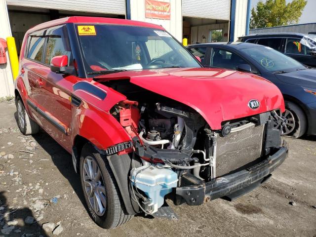 KIA SOUL + 2013 kndjt2a65d7628899