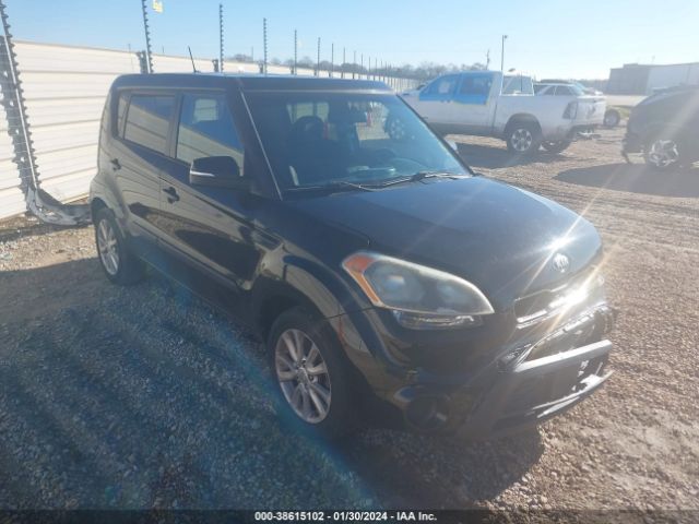 KIA SOUL 2013 kndjt2a66d7500896