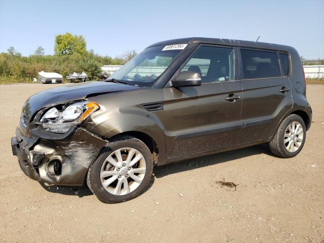 KIA SOUL + 2013 kndjt2a66d7503104