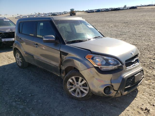 KIA SOUL + 2013 kndjt2a66d7567448