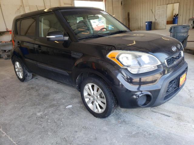 KIA SOUL + 2013 kndjt2a66d7607897