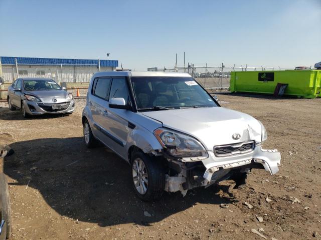 KIA SOUL + 2013 kndjt2a67d7755413