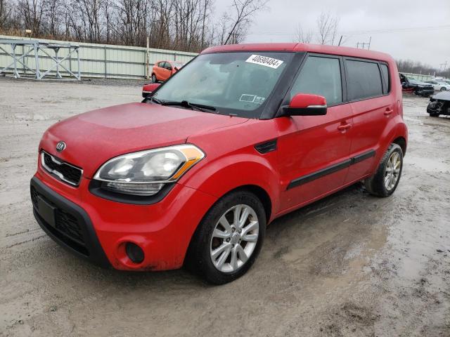 KIA SOUL + 2013 kndjt2a68d7486709