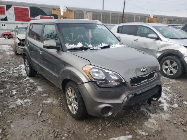 KIA SOUL + 2013 kndjt2a68d7537433