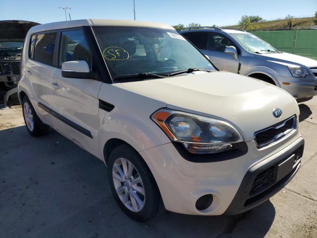 KIA SOUL + 2013 kndjt2a69d7521130