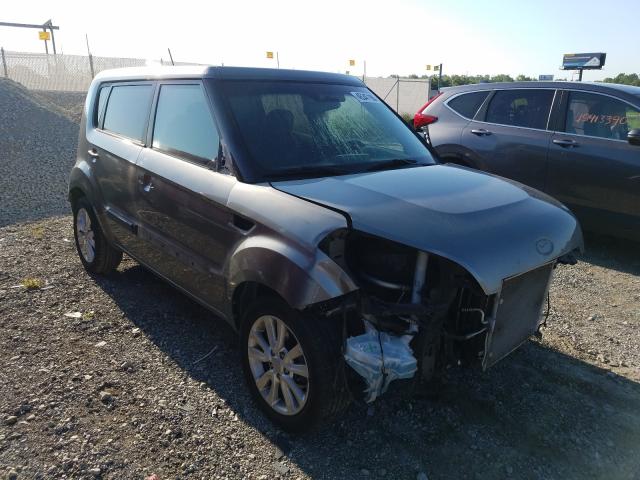 KIA SOUL + 2013 kndjt2a69d7536145