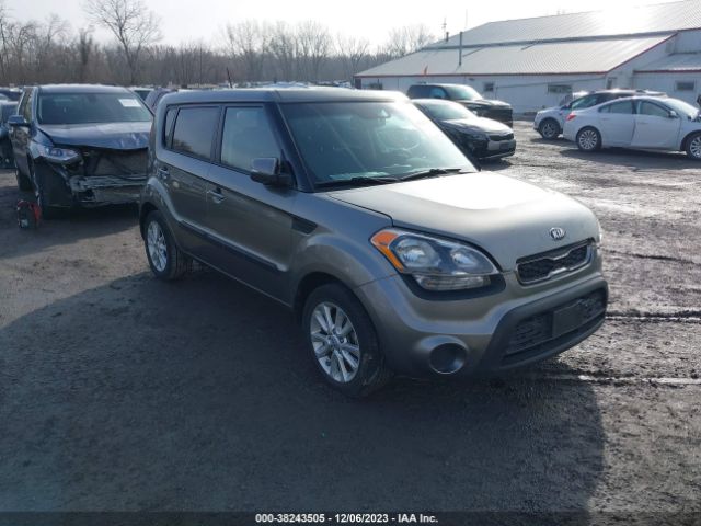 KIA SOUL 2013 kndjt2a69d7617971