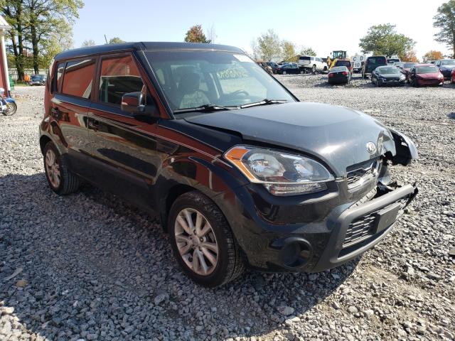 KIA SOUL + 2013 kndjt2a69d7627299