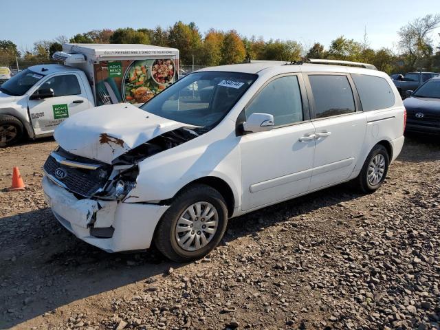 KIA SEDONA LX 2011 kndmg4c70b6365498