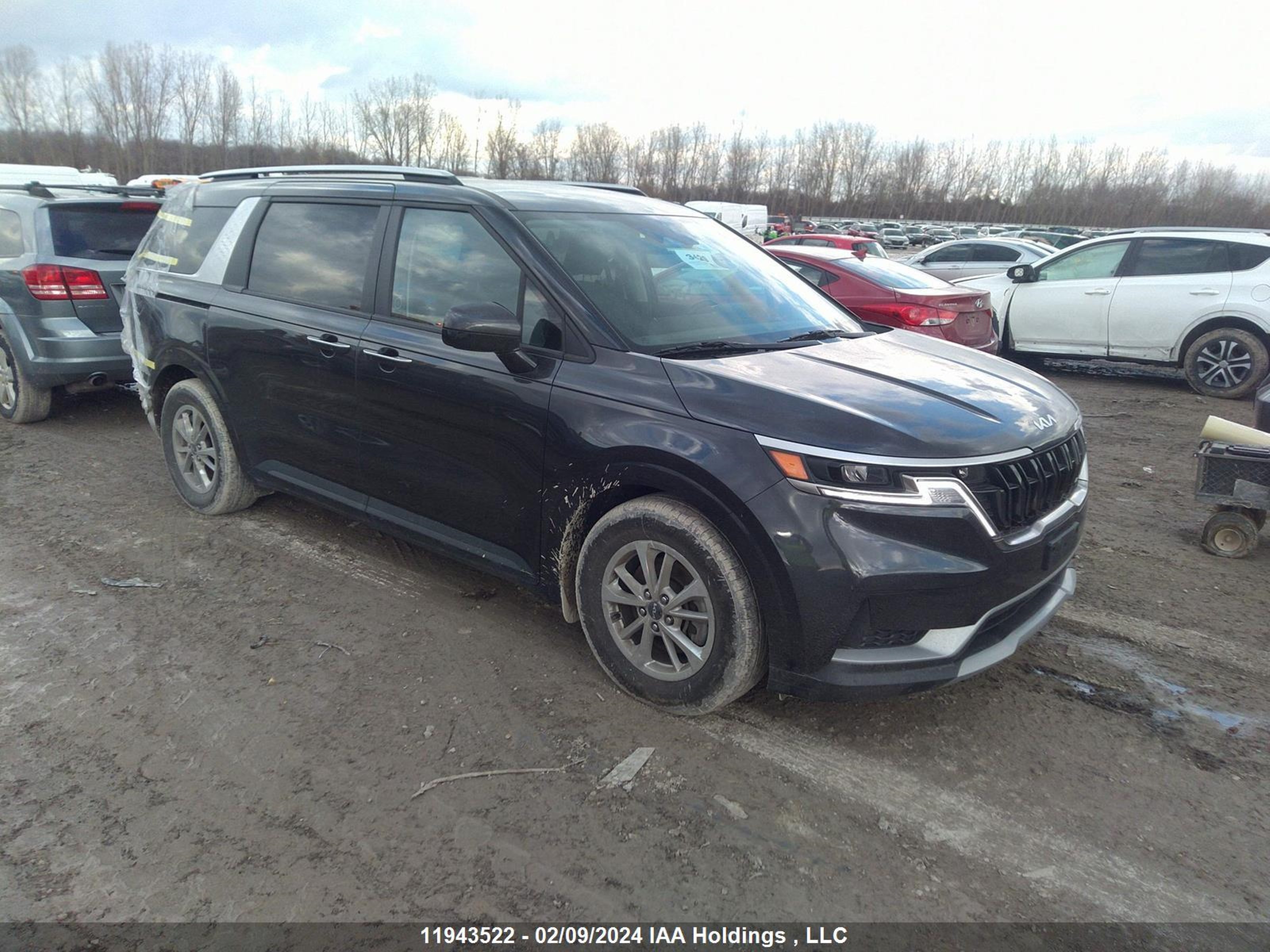 KIA SORENTO 2023 kndnb5h37p6247860