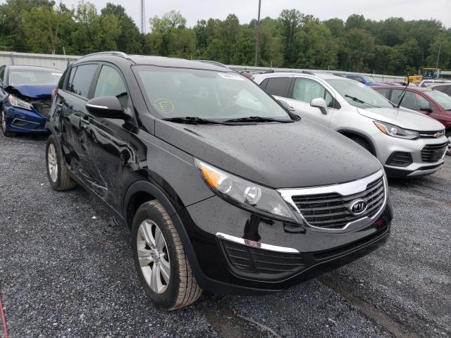 KIA SPORTAGE L 2011 kndpb3a20b7016087