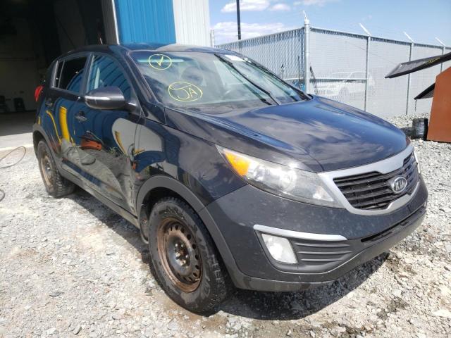 KIA SPORTAGE L 2011 kndpb3a20b7065693