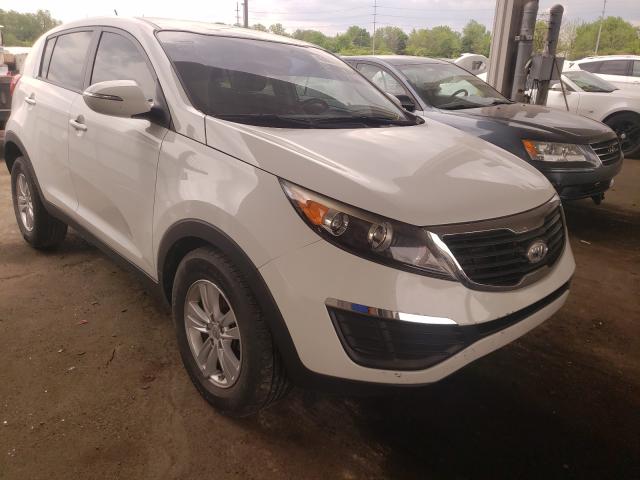 KIA SPORTAGE L 2011 kndpb3a20b7088049