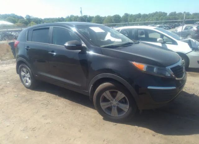 KIA SPORTAGE 2012 kndpb3a20c7229168