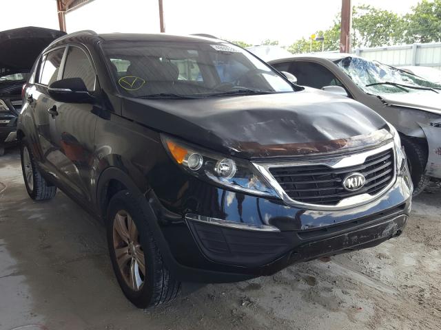 KIA SPORTAGE B 2013 kndpb3a20d7480662