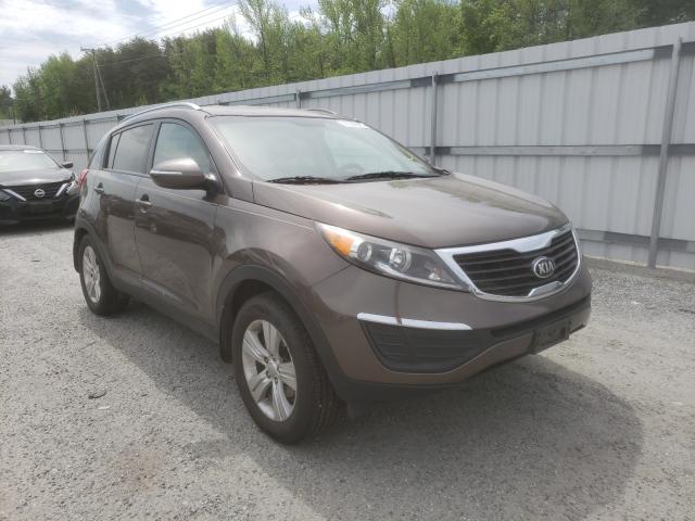 KIA SPORTAGE B 2013 kndpb3a20d7508511