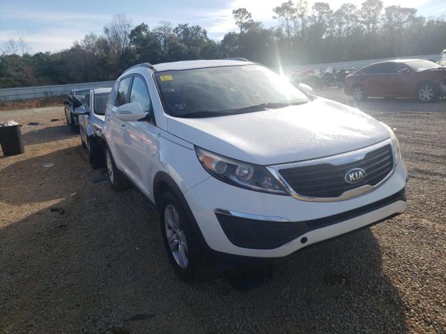 KIA SPORTAGE B 2013 kndpb3a20d7517158