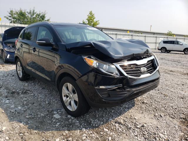 KIA SPORTAGE B 2013 kndpb3a20d7518391