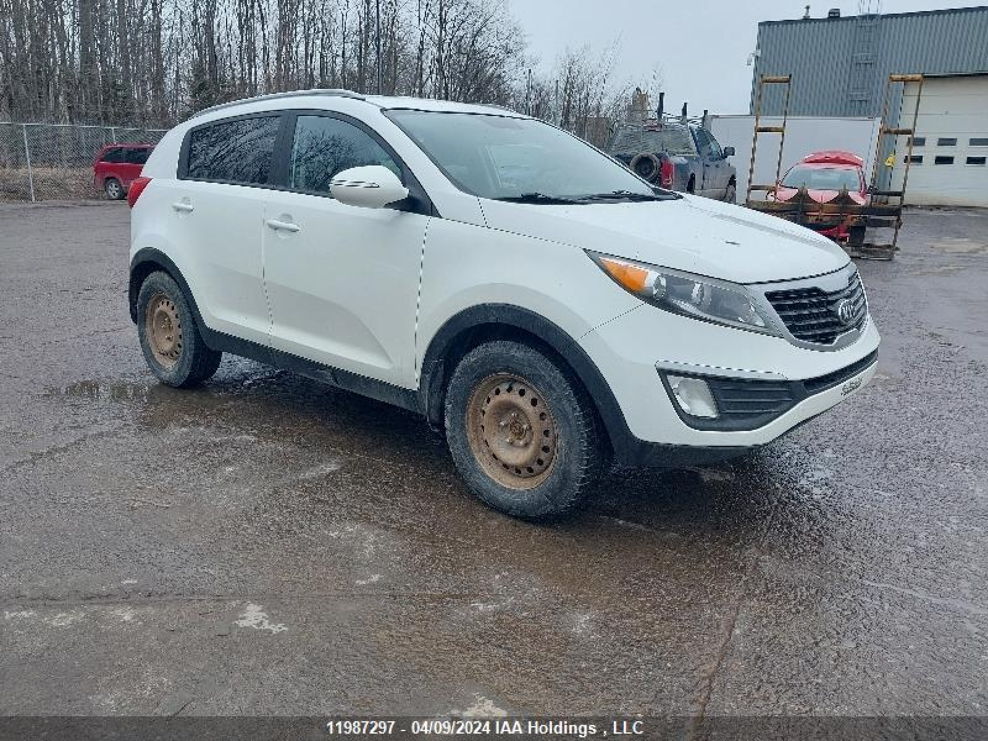 KIA SPORTAGE 2013 kndpb3a20d7546742