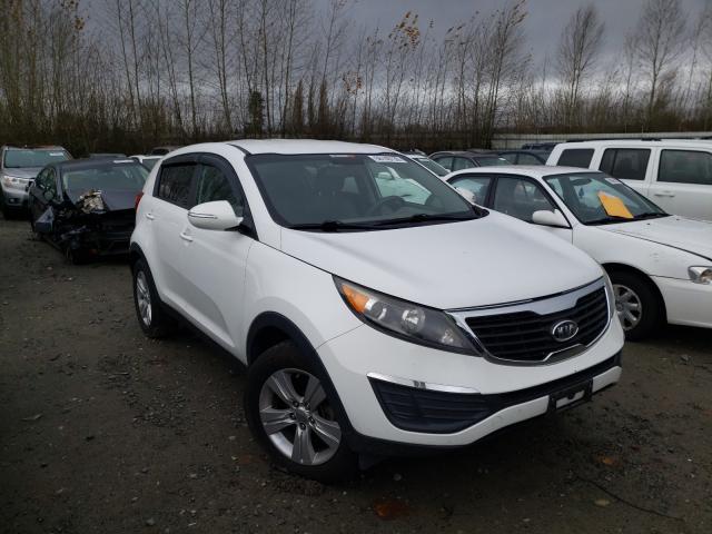 KIA SPORTAGE B 2012 kndpb3a21c7271817