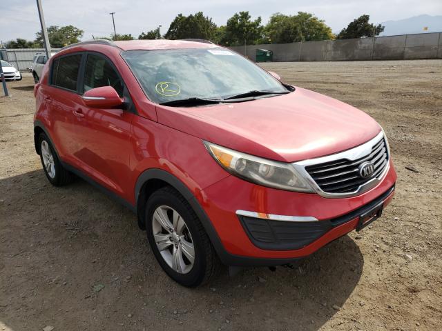 KIA SPORTAGE B 2013 kndpb3a21d7391862