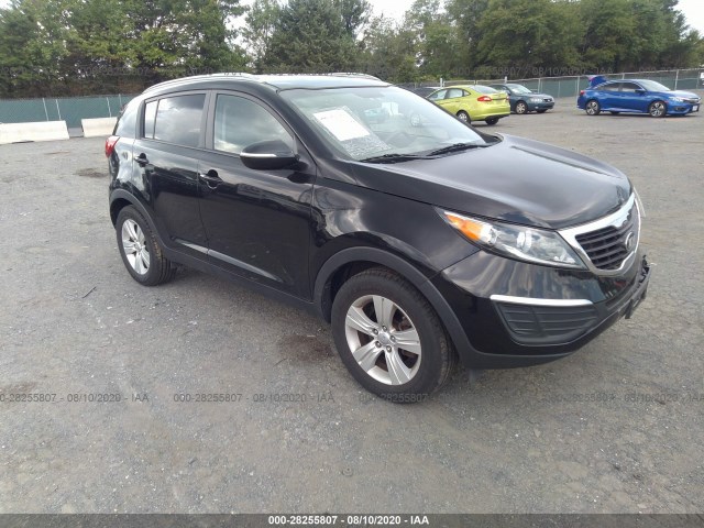 KIA SPORTAGE 2013 kndpb3a21d7408160