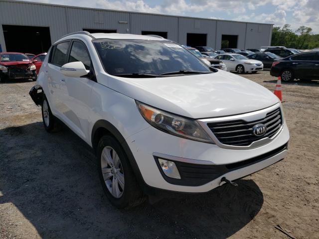 KIA SPORTAGE B 2013 kndpb3a21d7447282