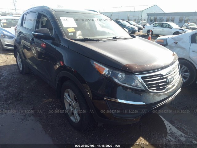 KIA SPORTAGE 2013 kndpb3a21d7488253