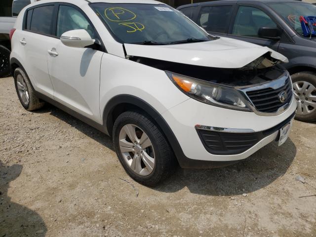 KIA SPORTAGE B 2013 kndpb3a21d7492805