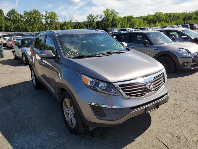 KIA SPORTAGE 2013 kndpb3a21d7499155