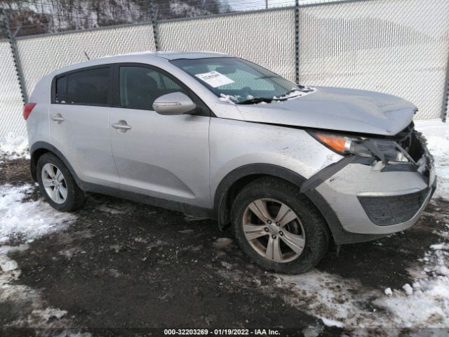 KIA SPORTAGE 2013 kndpb3a21d7518481