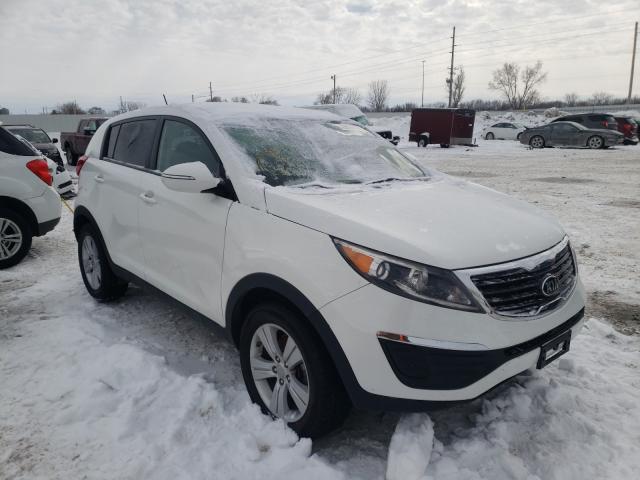 KIA SPORTAGE B 2013 kndpb3a21d7532915