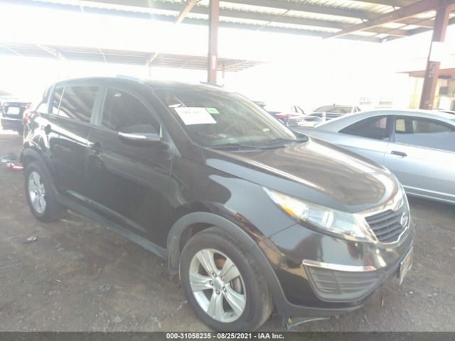 KIA SPORTAGE 2011 kndpb3a22b7088182