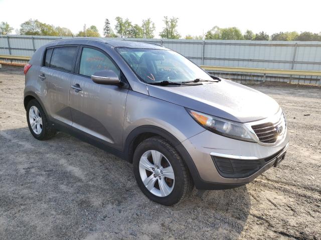 KIA SPORTAGE B 2012 kndpb3a22c7336903