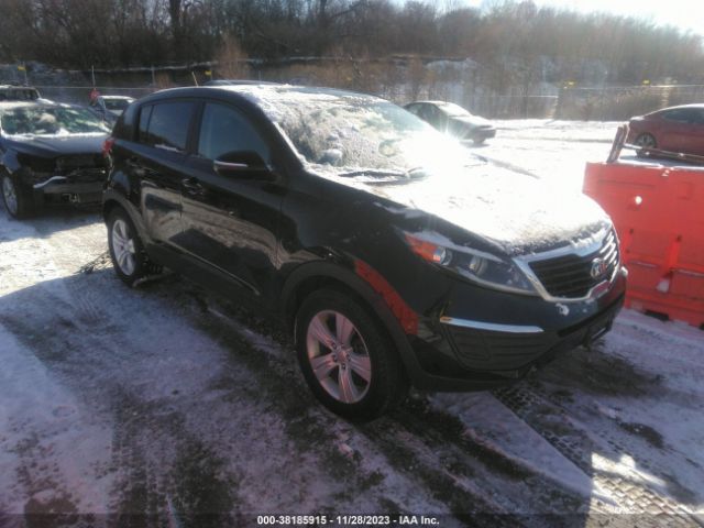 KIA SPORTAGE 2013 kndpb3a22d7351709