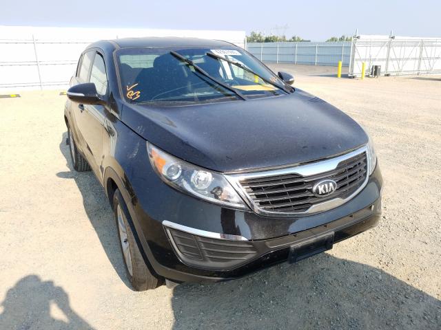 KIA SPORTAGE B 2013 kndpb3a22d7352584