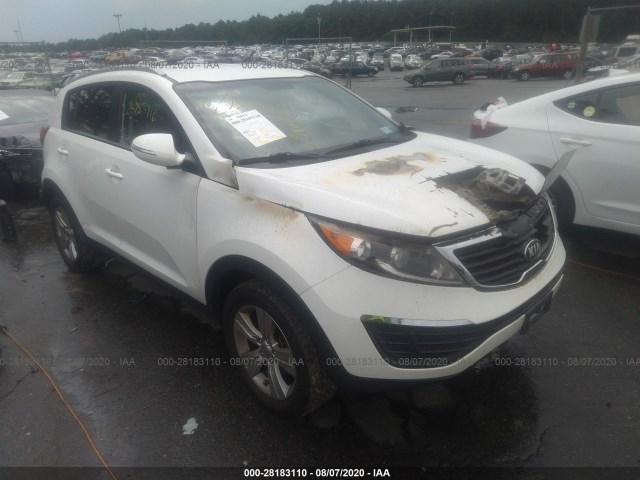 KIA SPORTAGE 2013 kndpb3a22d7431138