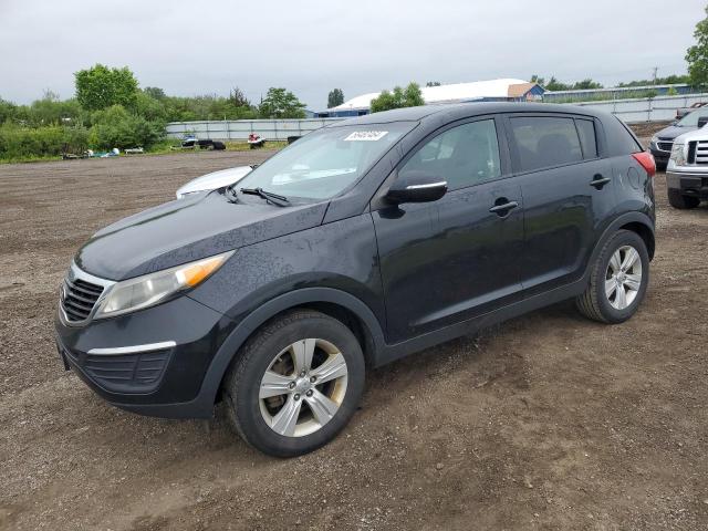 KIA SPORTAGE 2013 kndpb3a22d7484986