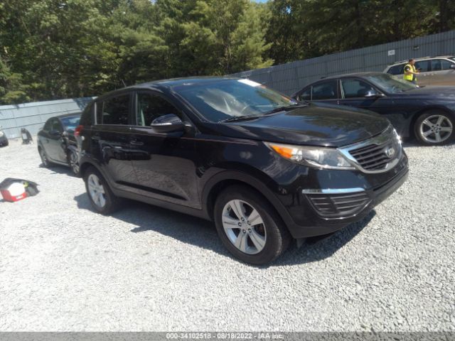 KIA SPORTAGE 2013 kndpb3a22d7495440