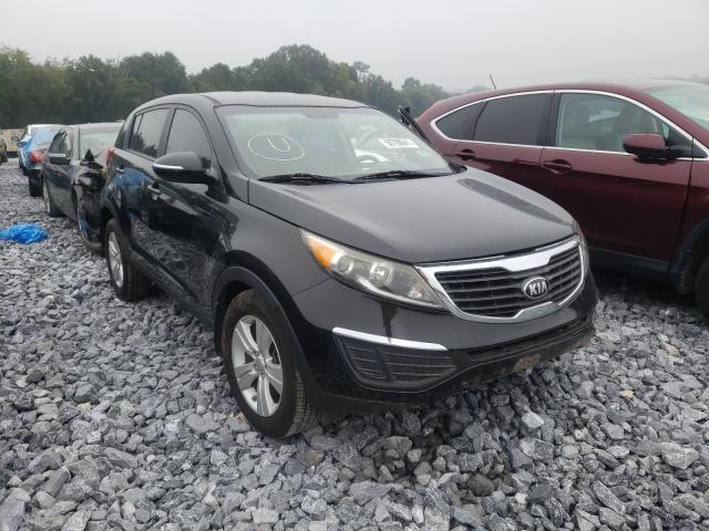 KIA SPORTAGE B 2013 kndpb3a22d7523348