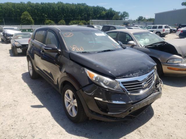 KIA SPORTAGE B 2013 kndpb3a22d7537119