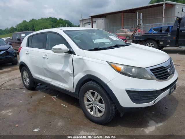 KIA SPORTAGE 2011 kndpb3a23b7014320