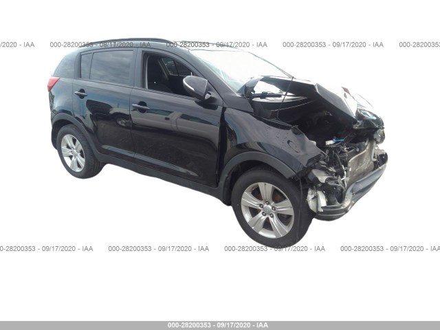 KIA SPORTAGE 2011 kndpb3a23b7024331